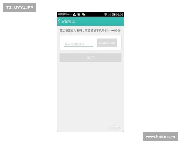 瑞典客户的支付选项